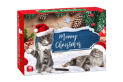 Cat Toy Advent Calendar