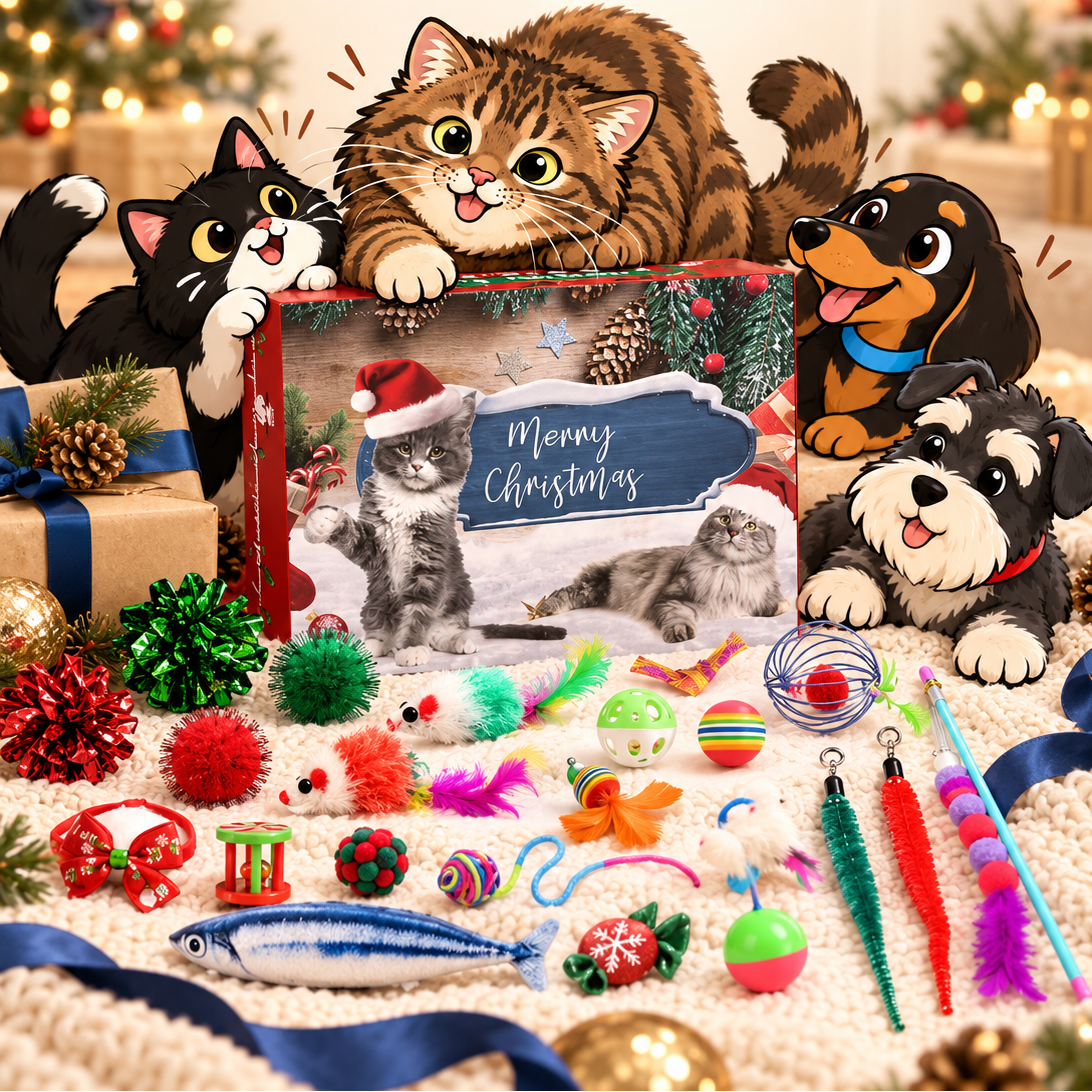 Cat Toy Advent Calendar