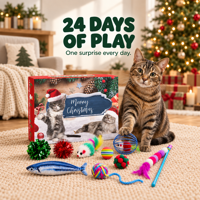 Cat Advent Calendar