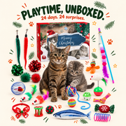 Cat Toy Advent Calendar